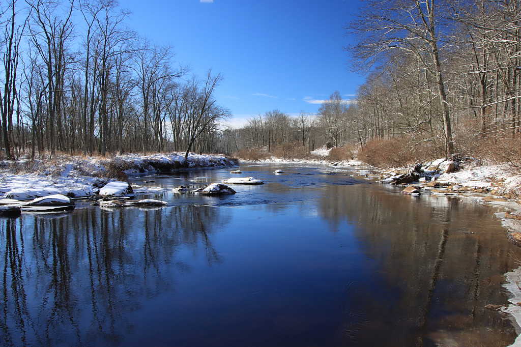 Winter Blues