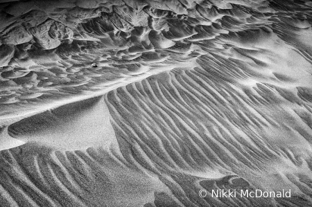 Clatsop Sand Abstract - One