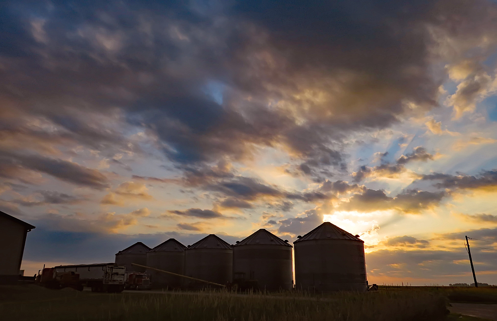 Silos At Sunrise