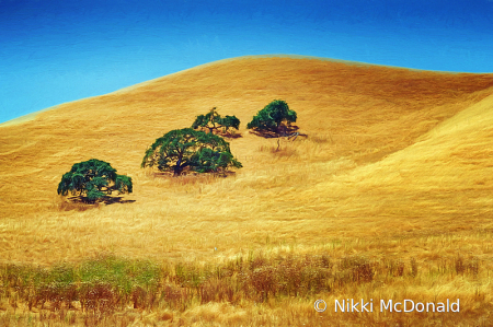 Four Trees - Salinas Valley Landscape