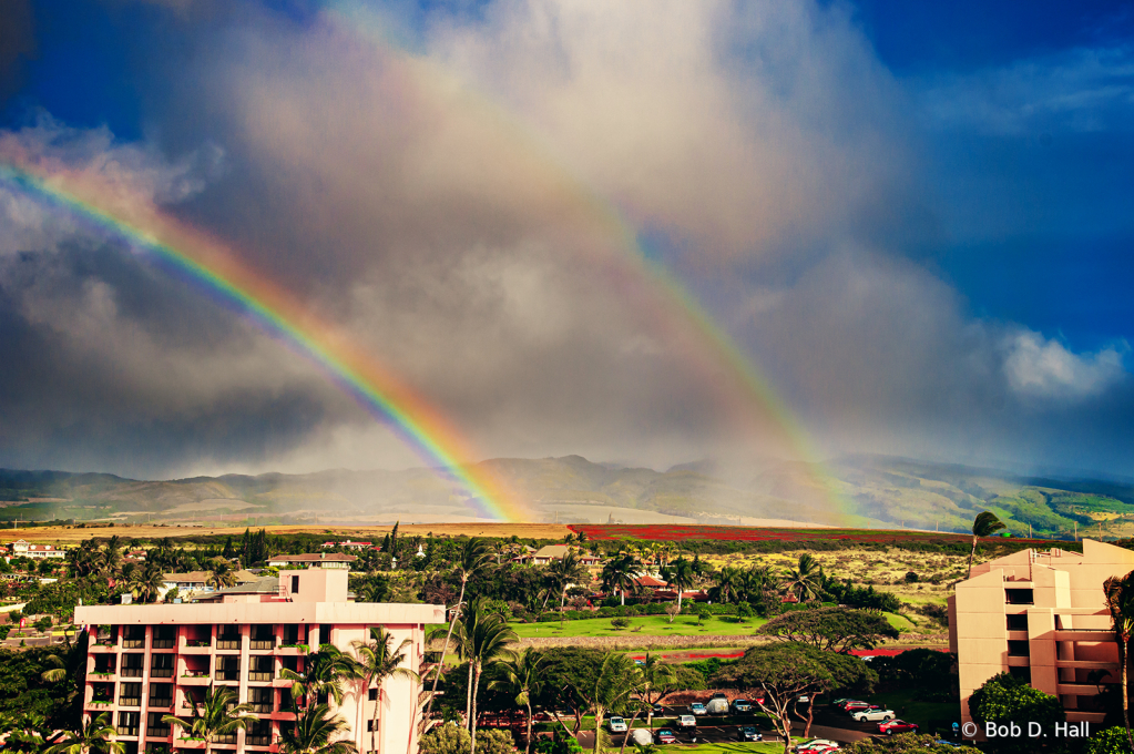 Double Bow