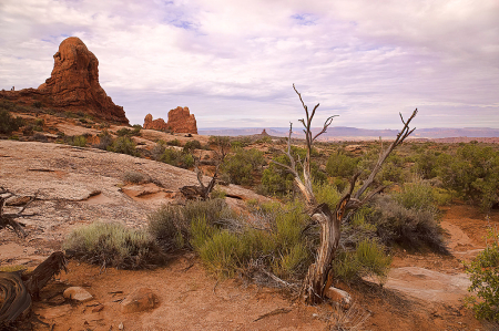 Arches National Park