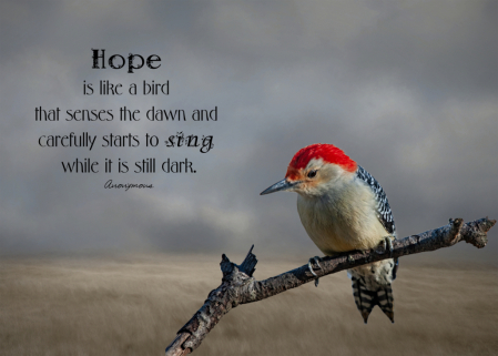 Hope