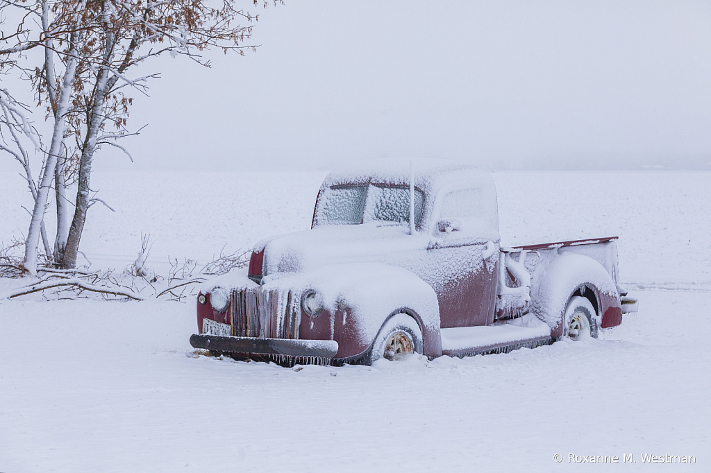 Vintage Red Ford truck in snow - ID: 16090991 © Roxanne M. Westman