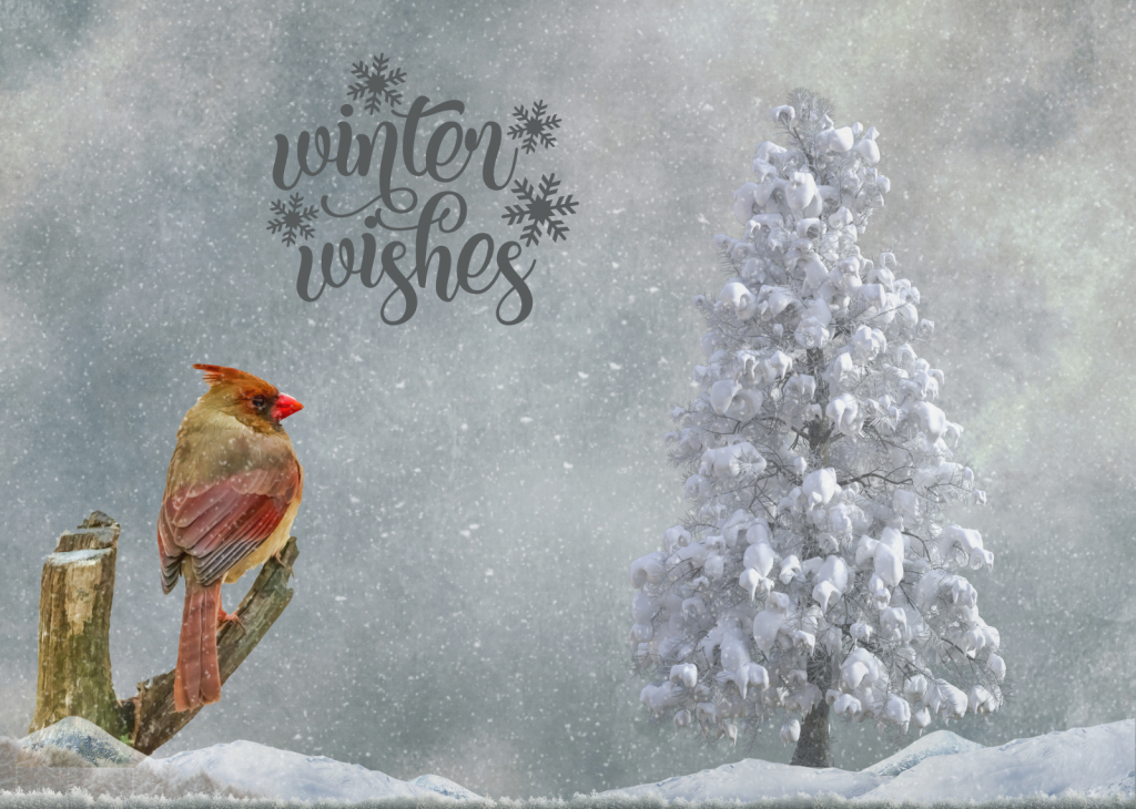 Winter Wishes