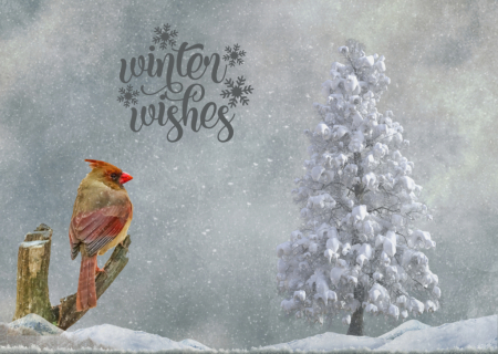 Winter Wishes