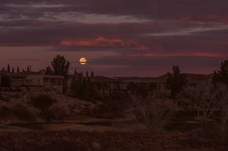 Desert Moonrise 