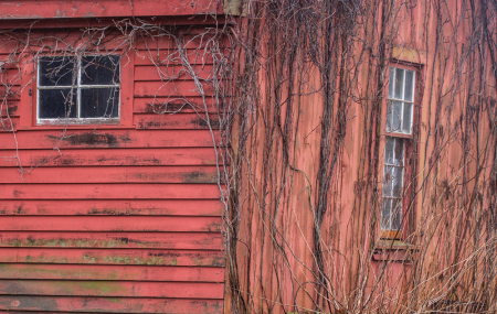 A Red Shed