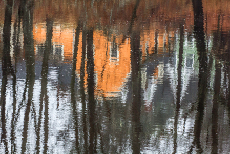 Reflections on the Ipswich River (3)