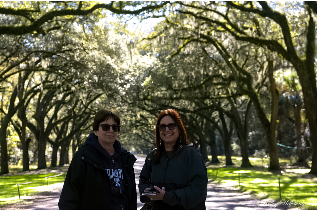 Seeing the Sites - ID: 16091403 © Kelley J. Heffelfinger