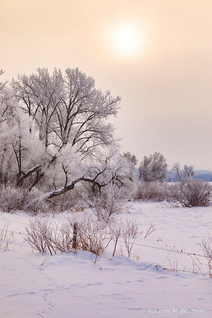 Magical winter colors  North Dakota landscape - ID: 16091507 © Roxanne M. Westman