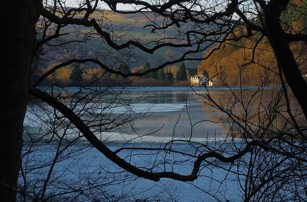 Across the lake