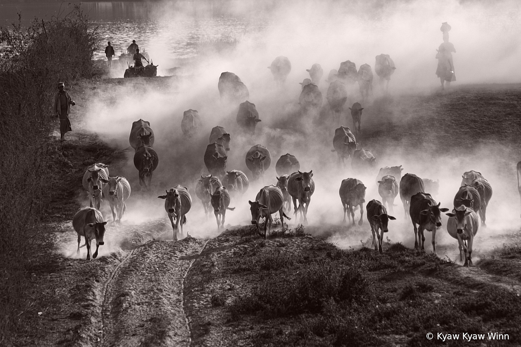 Summer Day of Myanmar