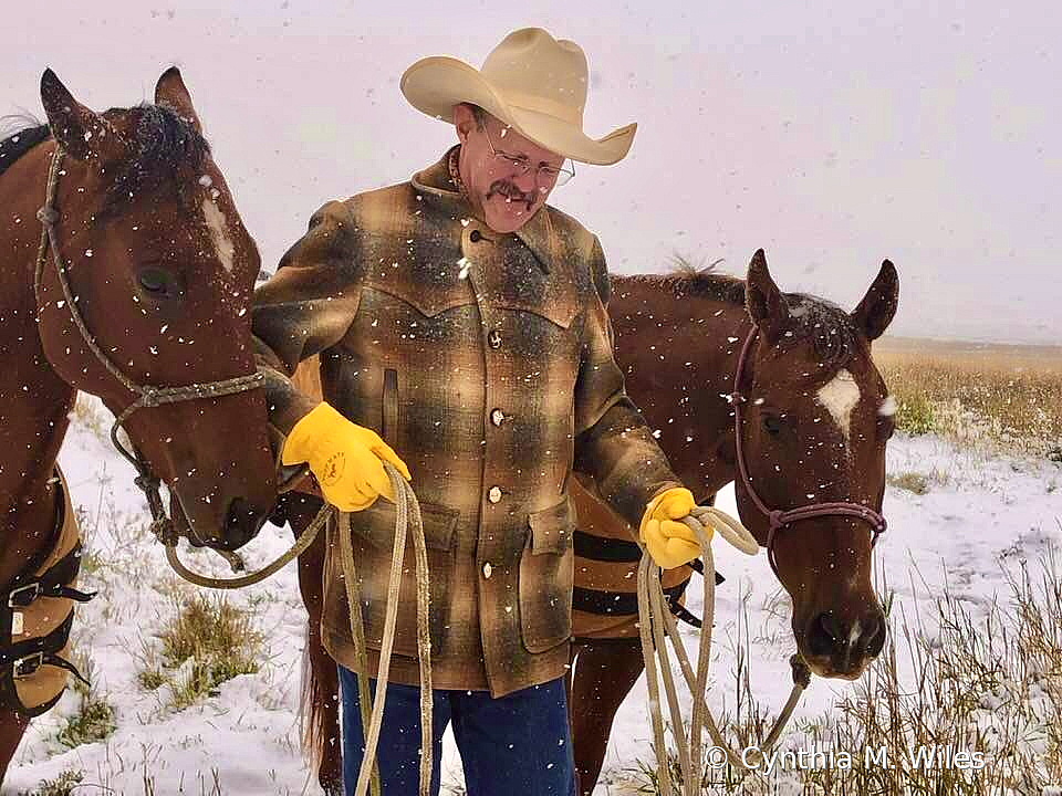 Montana Cowboy 