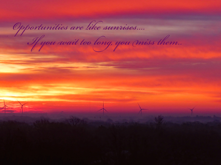 Opportunities Are Like Sunrises...