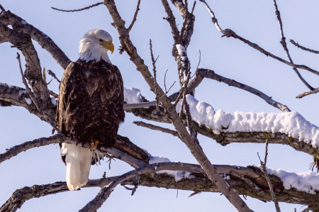 Hangin' Out on a Winter Day!