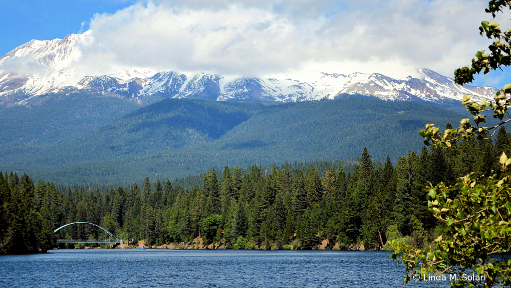 Mount Shasta