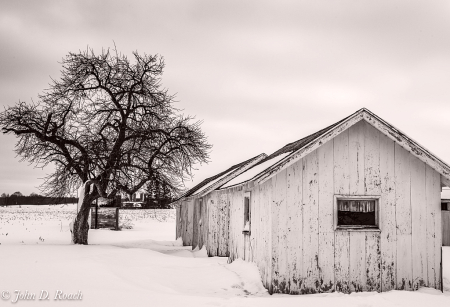 The Old Bunk Houses
