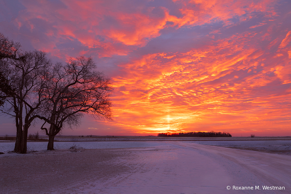 Glorious winter sunrise - ID: 16093018 © Roxanne M. Westman
