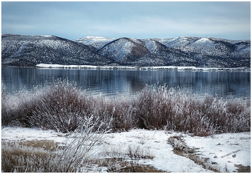 ~ Bear Lake Winter ~ - ID: 16093284 © Trudy L. Smuin
