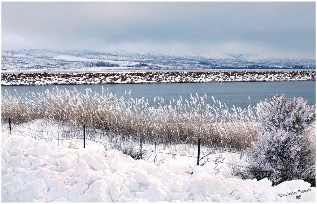 ~ Winter At The Lake ~ - ID: 16093289 © Trudy L. Smuin