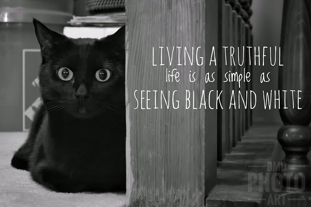 ~ ~ BLACK AND WHITE ~ ~ 