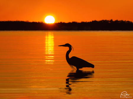 Sunset at St. Andrews Bay