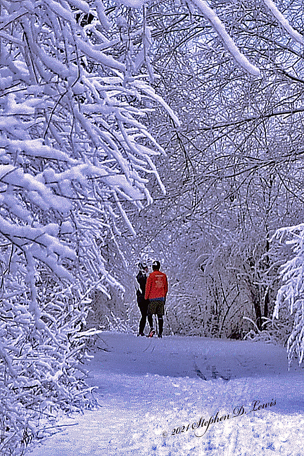 Cold Companions - ID: 16093600 © Stephen D. Lewis