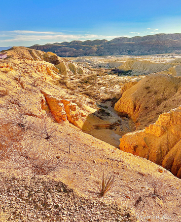 Gulch in Big Bend 