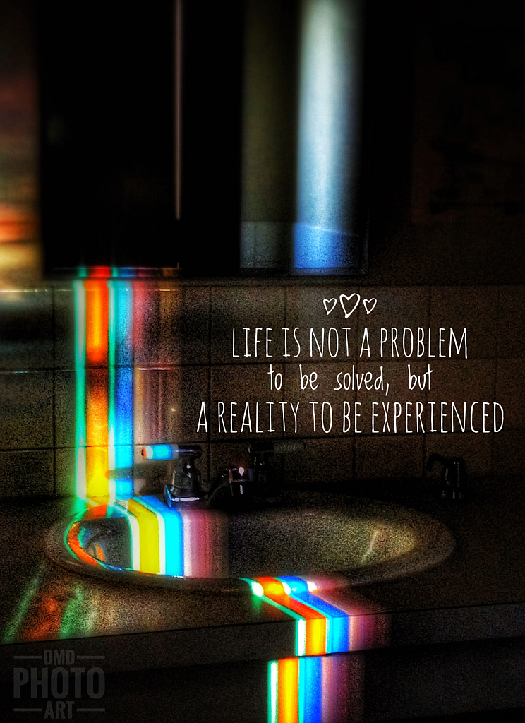 ~ ~ LIFE IS NOT A PROBLEM ~ ~ 
