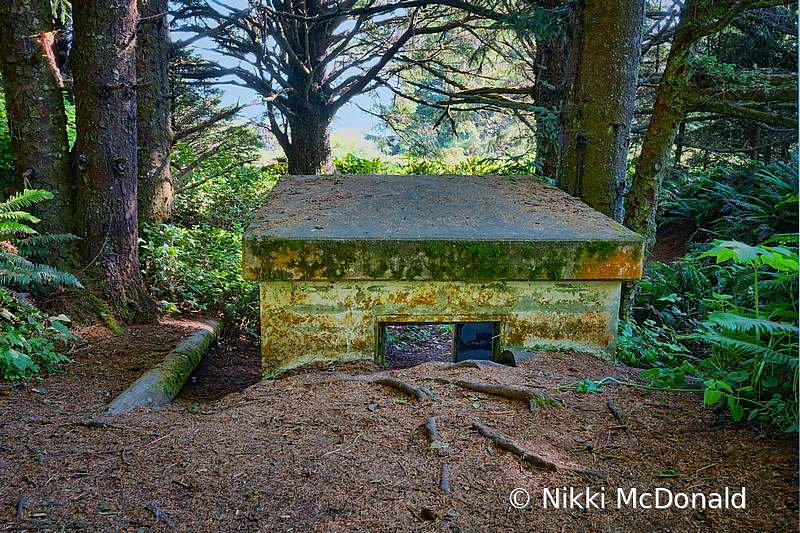 Bunker at Fort Canby