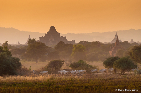 Evening View of Bagan