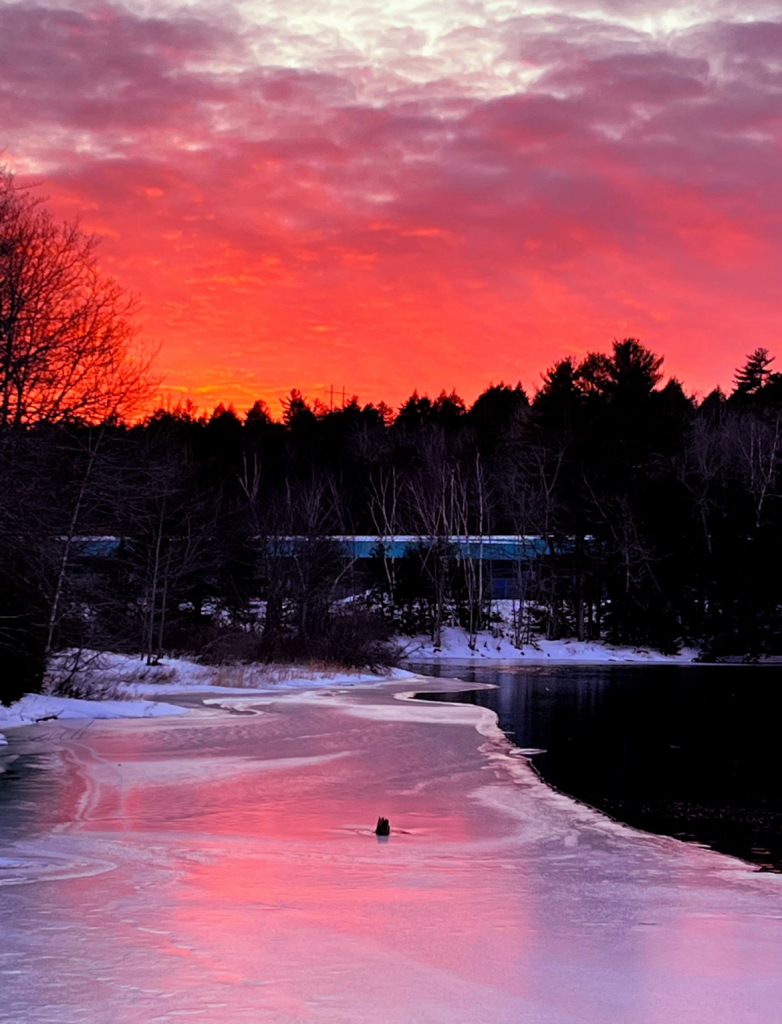 Reflecting Pinks 