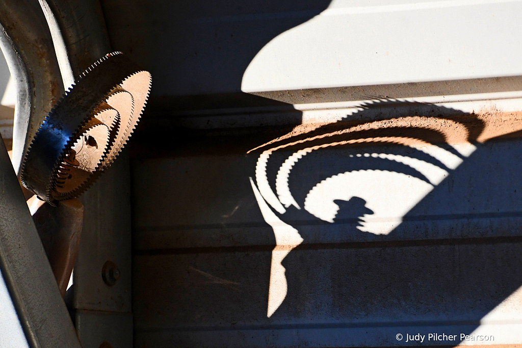 playful afternoon shadows.....