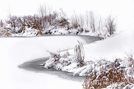 Winter Scene at Central Park