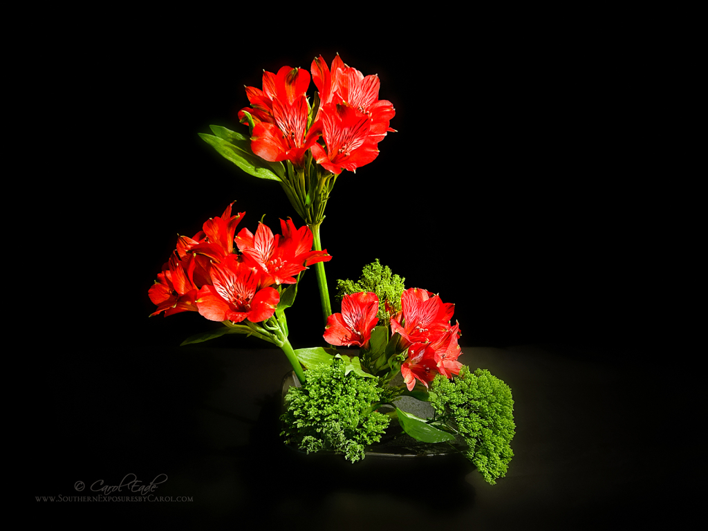 Ikebana Art of Flowers - ID: 16094888 © Carol Eade