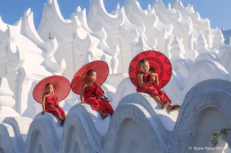 Little Novices