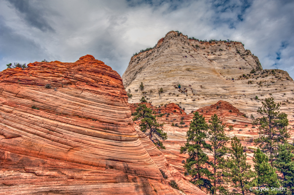 Zion Waves