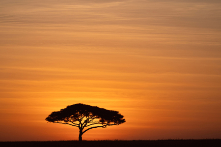 Sunrise on the Serengeti