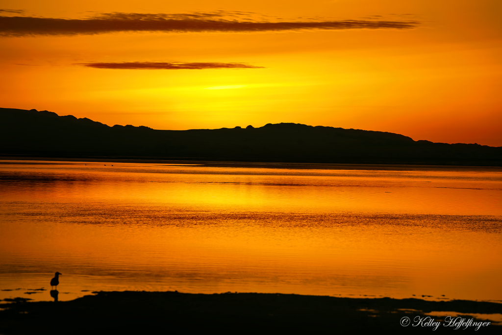 Watching the Sunset - ID: 16095153 © Kelley J. Heffelfinger