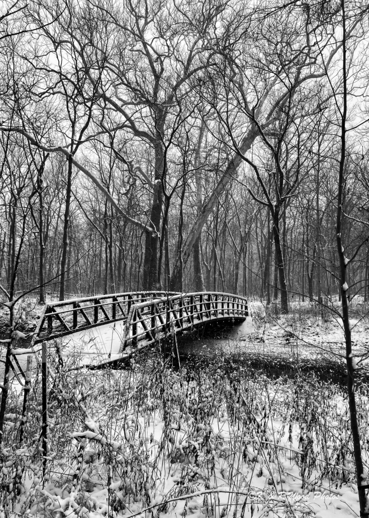 Snowy bridge