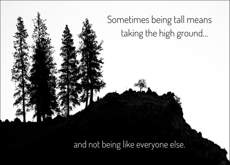 Take The High Ground 