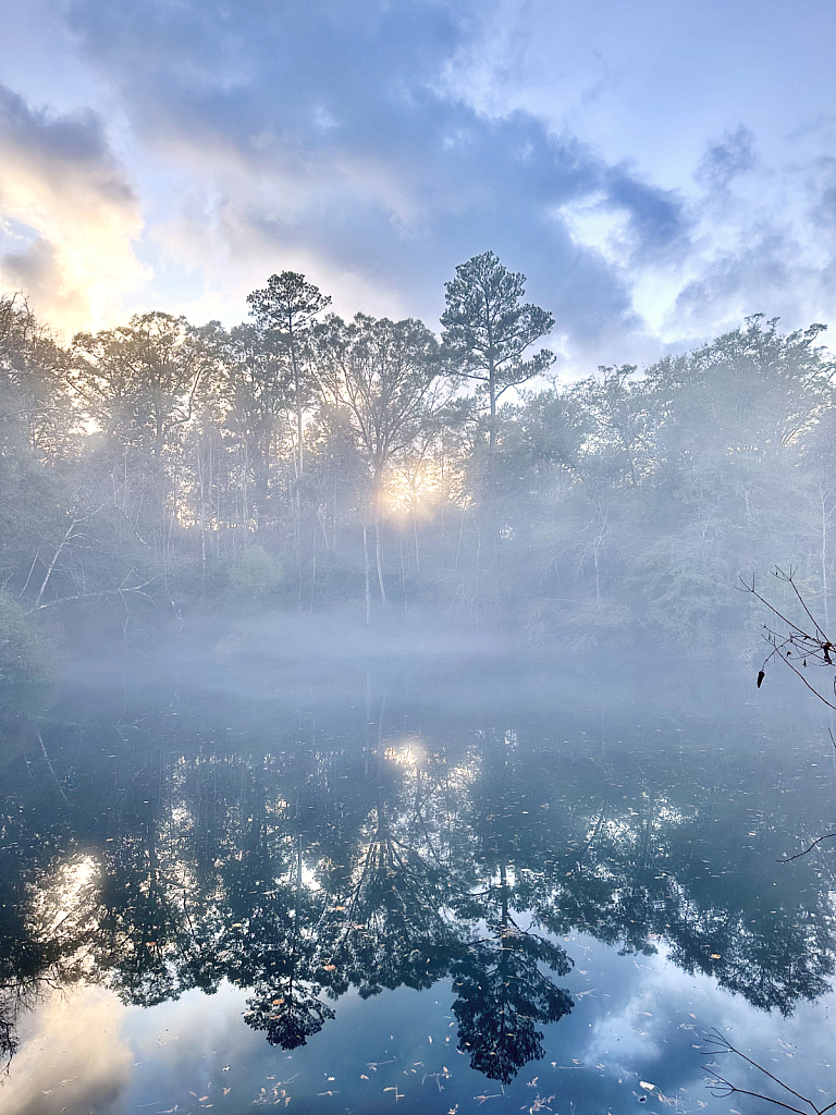 Fog over the pond - ID: 16098152 © Elizabeth A. Marker