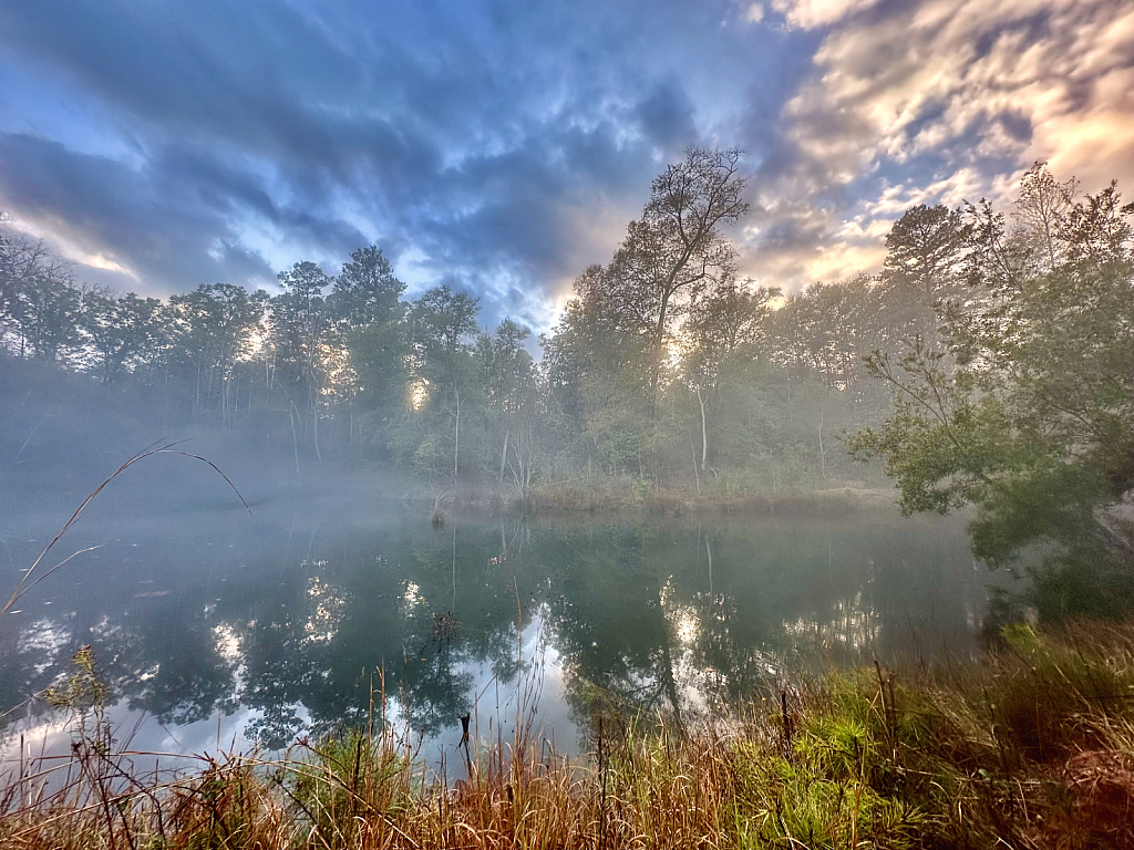 Beautiful foggy scenery  - ID: 16098153 © Elizabeth A. Marker