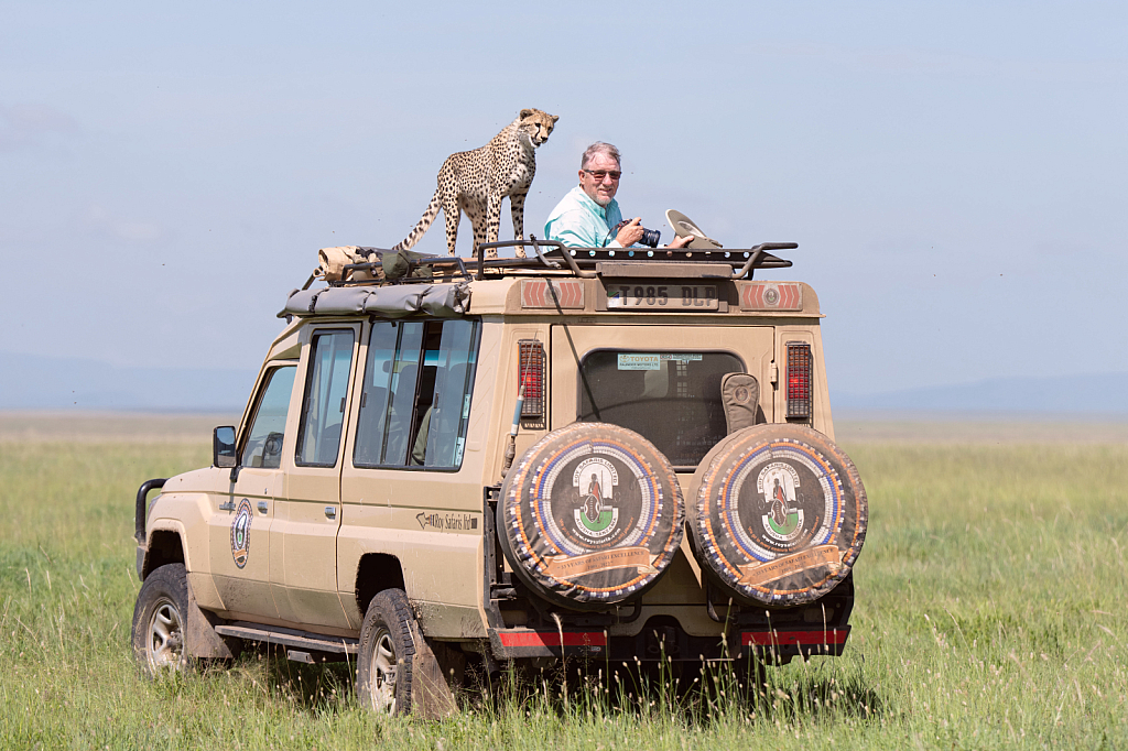 Jerry and the Cheetah