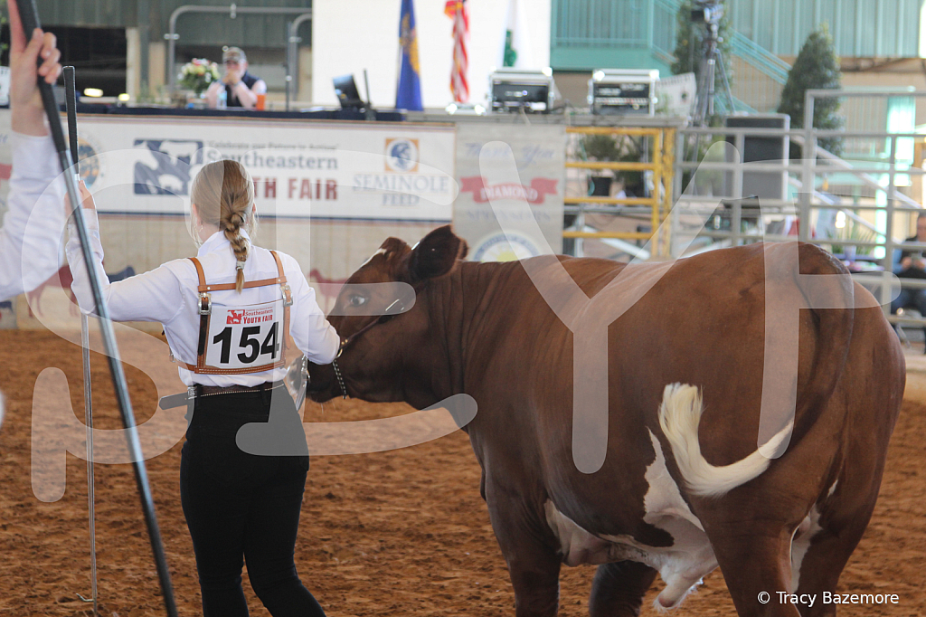 steer5122 - ID: 16103396 © Tracy Bazemore