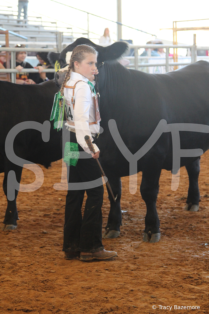 steer5169 - ID: 16103441 © Tracy Bazemore