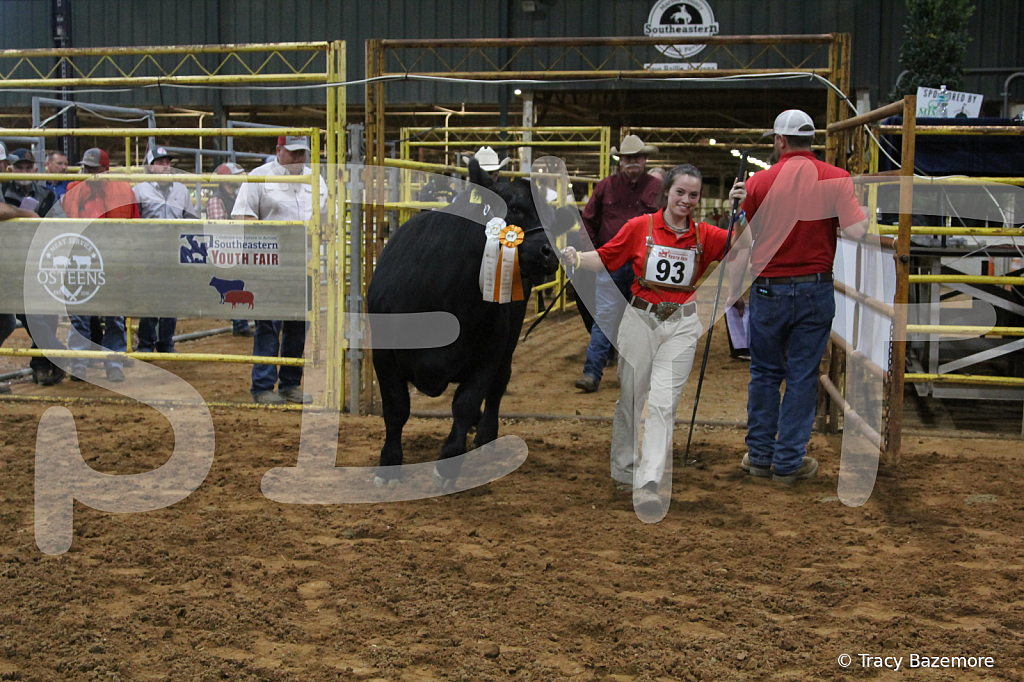 steer5396 - ID: 16101656 © Tracy Bazemore