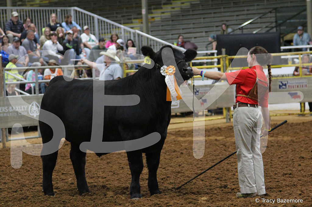 steer5400 - ID: 16101661 © Tracy Bazemore