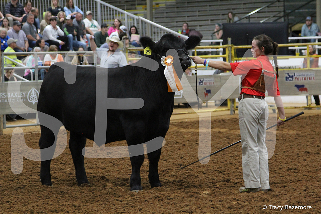 steer5401 - ID: 16101662 © Tracy Bazemore